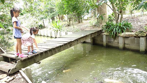 DSC08787.JPG DSC08787.JPG