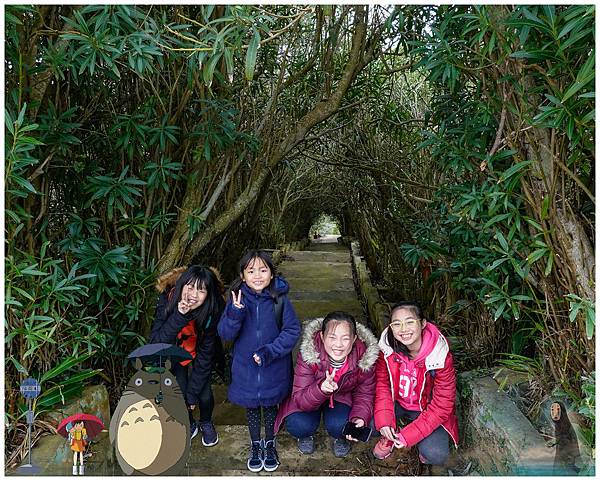 20190302-_DSC2706-01.jpg 20190302-_DSC2706-01.jpg