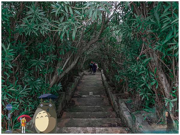 20190302-_DSC2712-01.jpg 20190302-_DSC2712-01.jpg