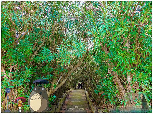 20190302-_DSC2716-01.jpg 20190302-_DSC2716-01.jpg