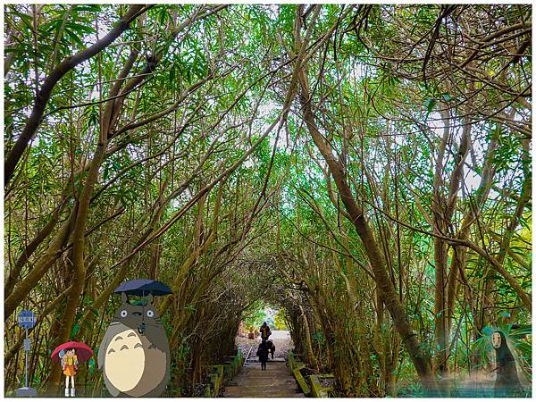 20190302-_DSC2726-01.jpg 20190302-_DSC2726-01.jpg