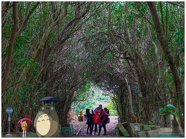 20190302-_DSC2724-01.jpg 20190302-_DSC2724-01.jpg