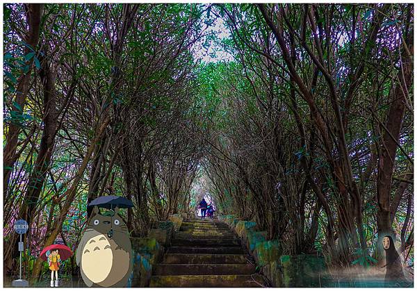 20190302-_DSC2738-01.jpg 20190302-_DSC2738-01.jpg