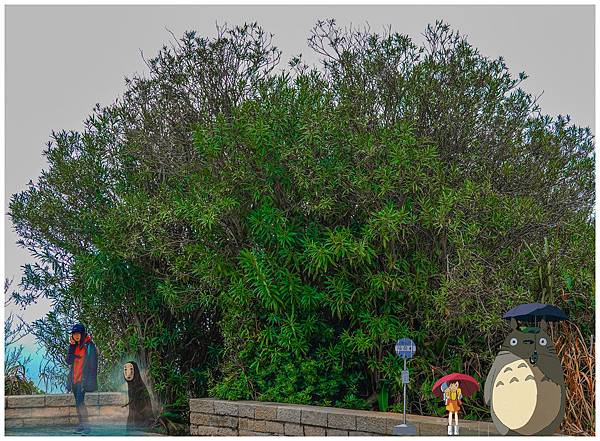 20190302-_DSC2744-01.jpg 20190302-_DSC2744-01.jpg