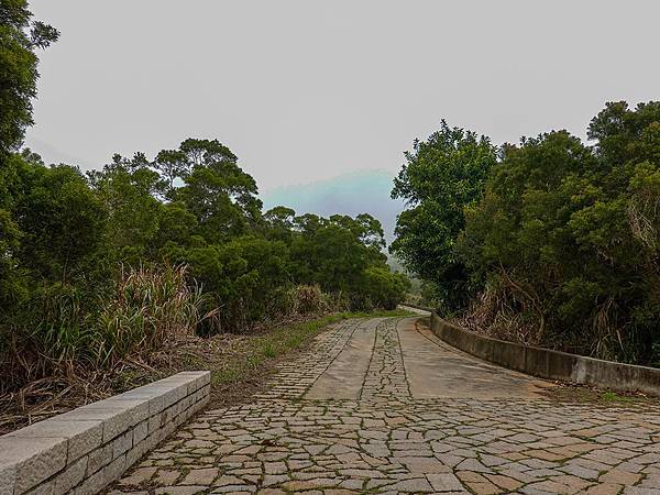 20190302-_DSC2745.jpg 20190302-_DSC2745.jpg