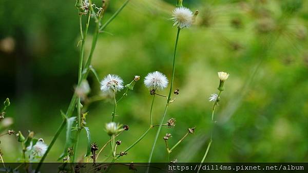 DSC04857.JPG DSC04857.JPG