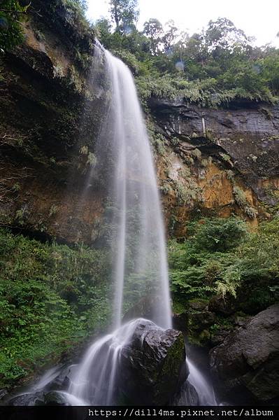 若山嵐髮絲的摩天瀑布