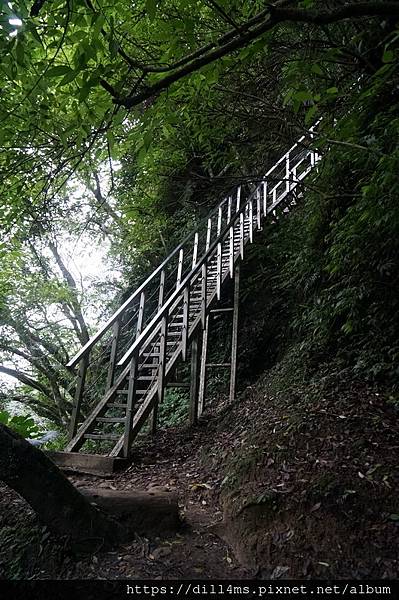 上第三層瀑布的鐵梯
