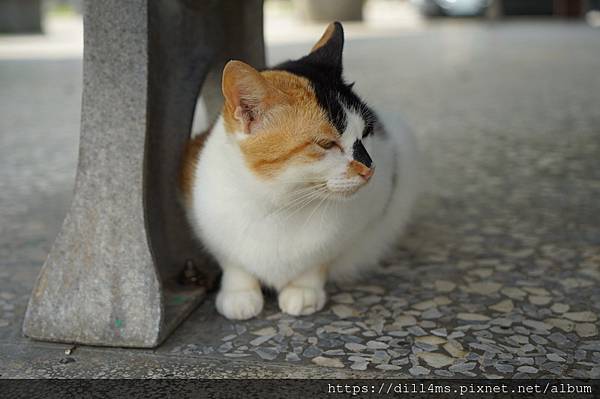 DSC04887.JPG DSC04887.JPG