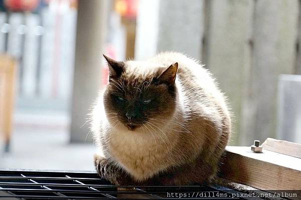 當個導師，怎能在輕鬆沒壓力的情況下用完午餐？