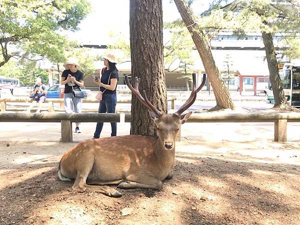 S__11108391.jpg S__11108391.jpg