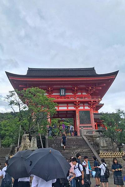 S__11108407.jpg S__11108407.jpg