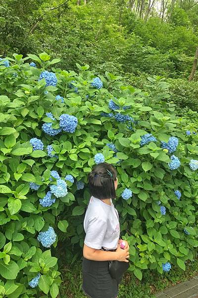 S__11108409.jpg S__11108409.jpg