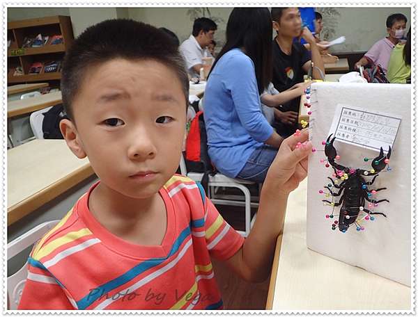 小牛 標本製作 亞洲雨林蠍 Vega S Life 眉角の瞎攪和 痞客邦