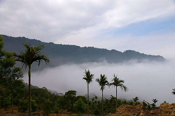 老溫的地景001