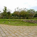 景賢公園040.JPG