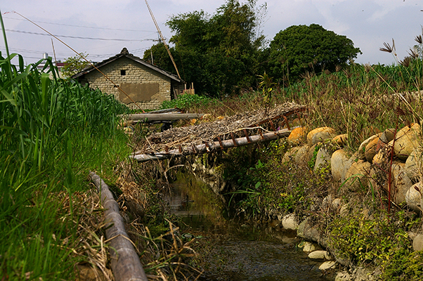 99麥田020.jpg