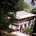 山行玫瑰 034.jpg