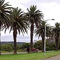 watsons bay036.JPG