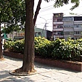 東光園道031.JPG