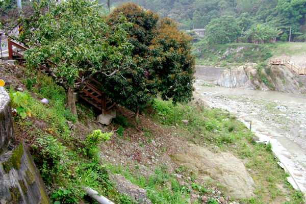 中埔八號橋009.JPG