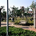 樂成公園057.jpg