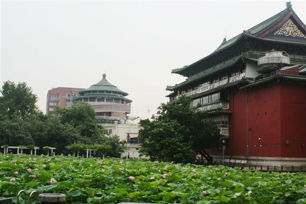 台北植物園-荷花季