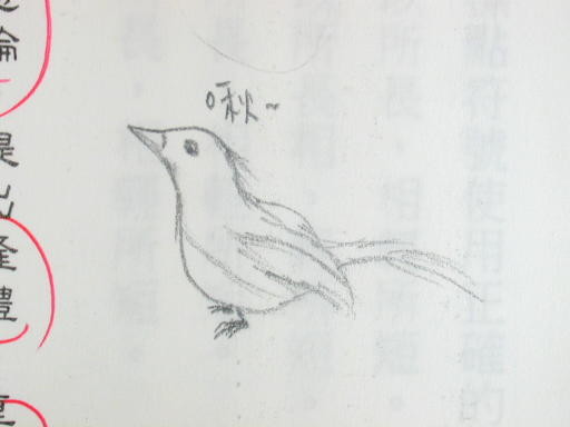 小鳥