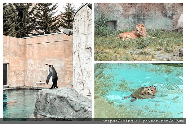 旭川動物園.jpg