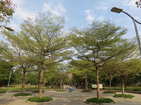 大安森林公園, 捷運大安森林公園站, 台北市大安區