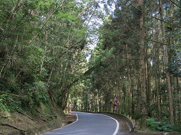 北橫公路(排骨溪-棲蘭)