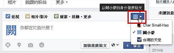 臉書(Facebook), 粉絲專頁, 分文身份