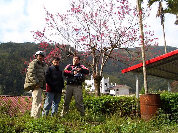 闖北橫Ⅱ 453 大同鄉英士村