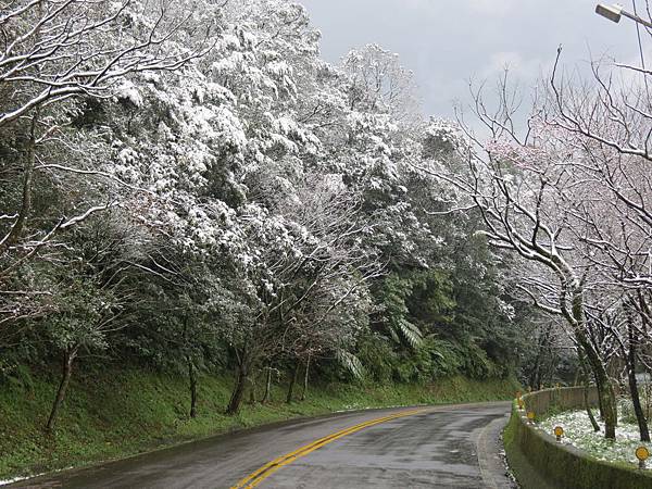 台北下雪記:汐平追雪-25 台北下雪記:汐平追雪-25