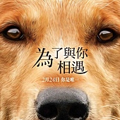 Movie, A Dog's Purpose(美国) / 为了与你相遇(台) / 一条狗的使命(中) / 再次相遇(港), 电影海报, 台湾