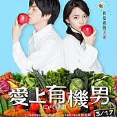 Movie, にがくてあまい(日本) / 爱上有机男(台) / 苦‧甜滋味(港) / Bittersweet(英文) / 苦中带甜的滋味(网), 电影海报, 台湾