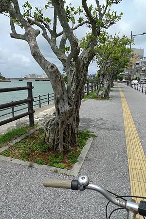 P1290517