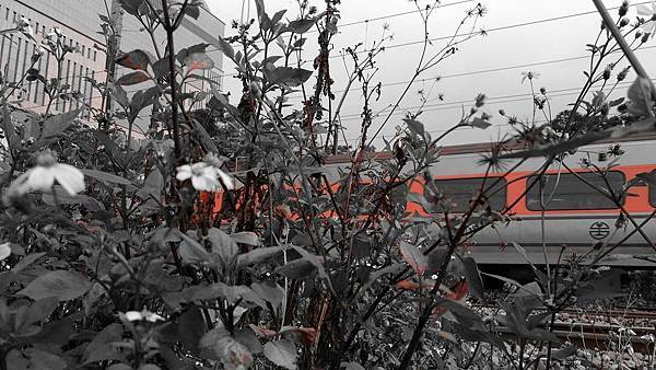 他看見一列 靠站的火車 換軌 駛入自己的靜脈 他看見一列 靠站的火車 換軌 駛入自己的靜脈