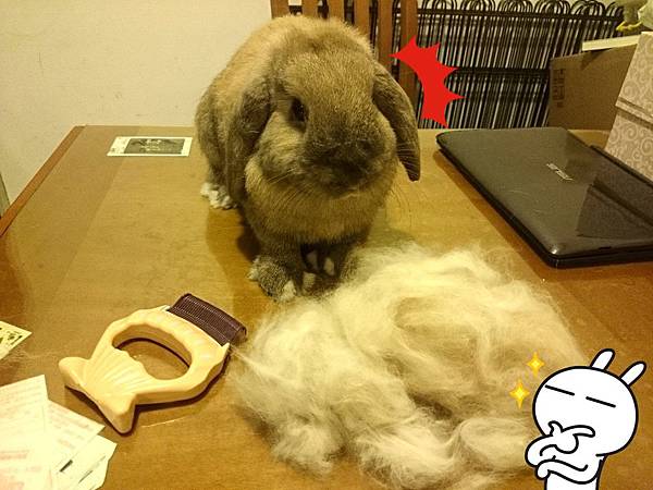 2014-05-17-20-25-21_deco 2014-05-17-20-25-21_deco