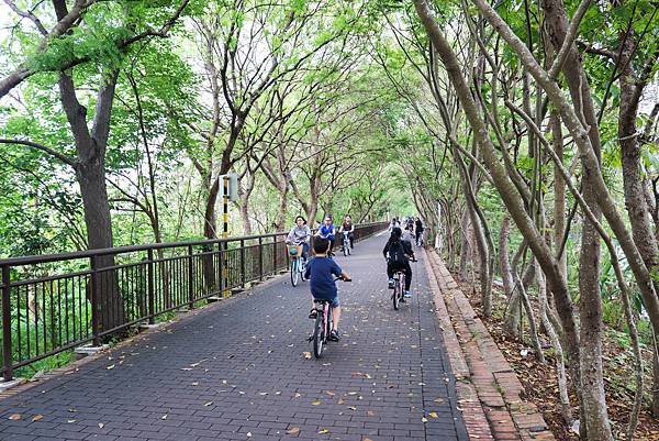 IMG_1556.jpg IMG_1556.jpg