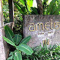 ametis00.jpg