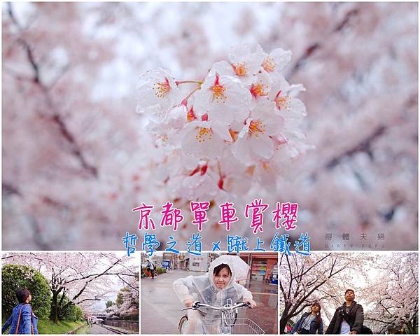 封面.jpg 封面.jpg