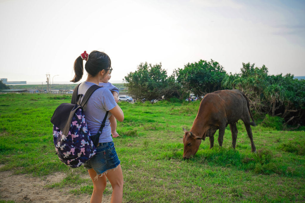 DSC00271-1.JPG DSC00271-1.JPG