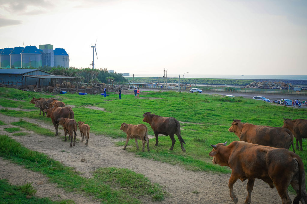 DSC00291-1.JPG DSC00291-1.JPG