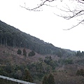 飄雪的山