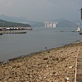 大樓