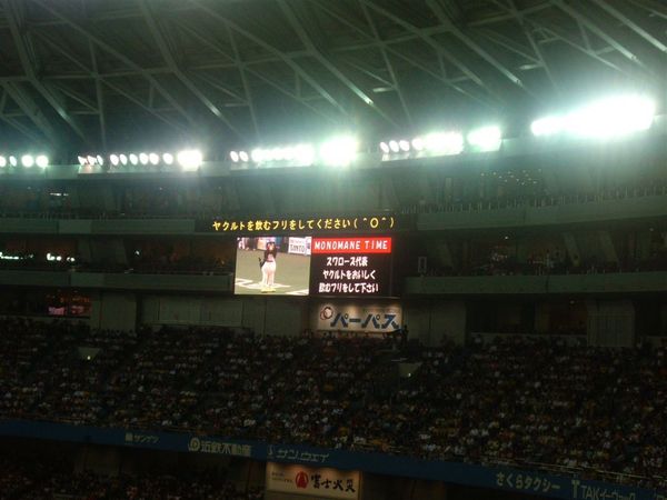 吉祥物表演時間