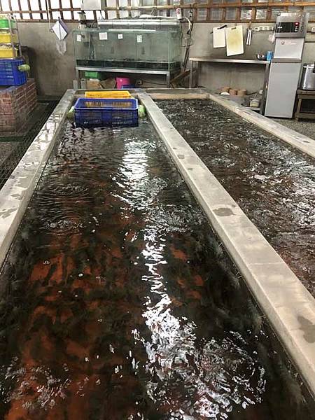 新竹海鮮-黃金海岸 新竹海鮮-黃金海岸