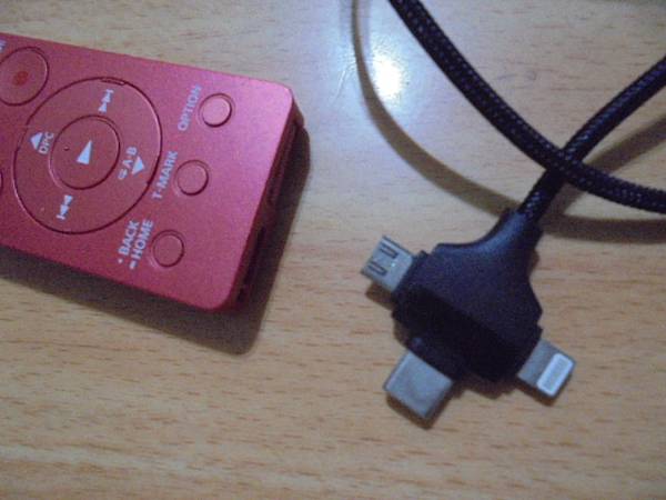 【傳輸正確】SONY索尼ICD-UX560F4GB錄音筆使