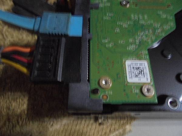 【留碟救援】WD威騰2TB3.5吋Purple紫標裸碟是多